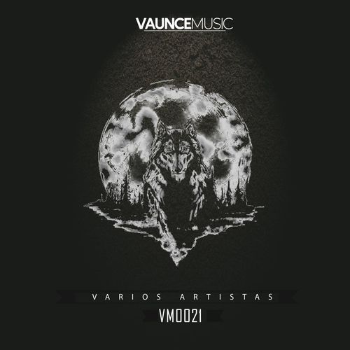 image cover: Varios Artistas - Vaunce Music 001 /