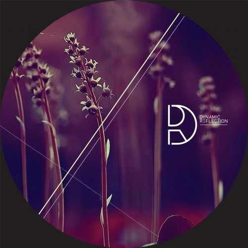 image cover: Deepbass, Edit-Select - Night Without Stars EP / DREF041