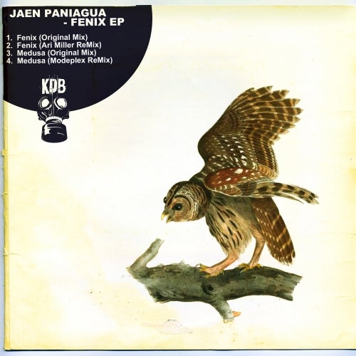 Download Jaen Paniagua - Fenix on Electrobuzz