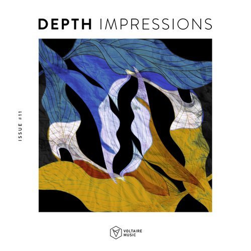 Download VA - Depth Impressions Issue #11 on Electrobuzz