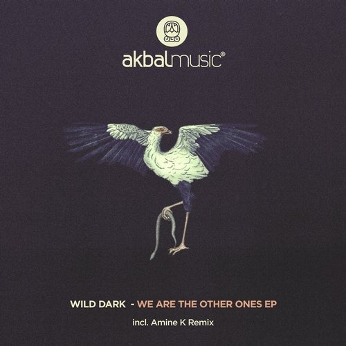 image cover: Wild Dark - We Are The Other Ones EP / AKBAL166