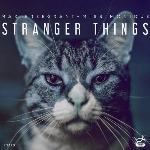 Download Max Freegrant, Miss Monique - Stranger Things on Electrobuzz