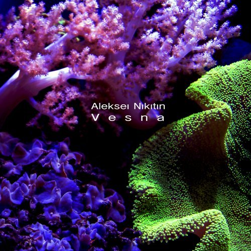 Download Aleksei Nikitin - Vesna on Electrobuzz