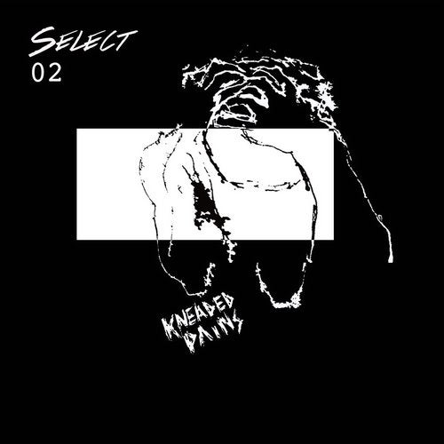 Download VA - Select 02 on Electrobuzz