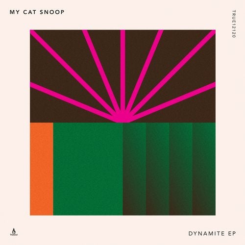 Download My Cat Snoop - Dynamite EP on Electrobuzz