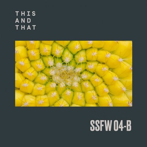 Download VA - SSFW #4B on Electrobuzz