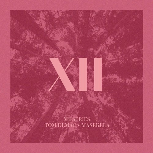 Download Tom Demac - XII on Electrobuzz