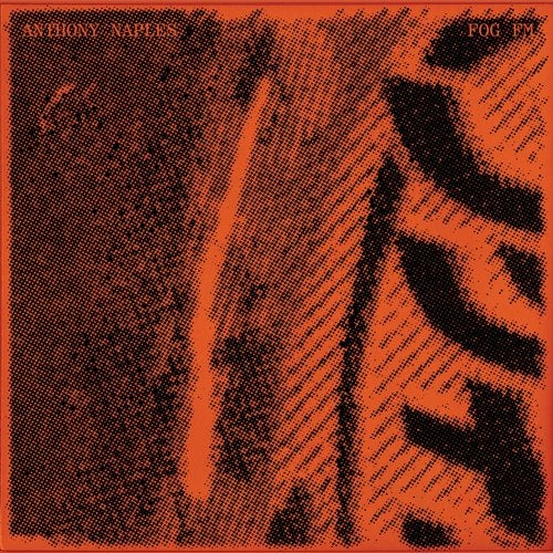 Download Anthony Naples - Fog FM on Electrobuzz