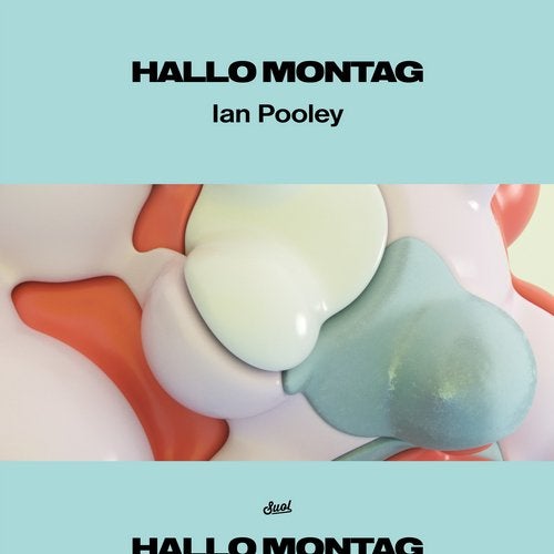 image cover: Ian Pooley - Puzzled / HM02PT1G