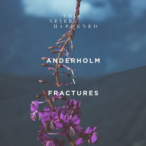 image cover: Anderholm - Fractures / TNH024E