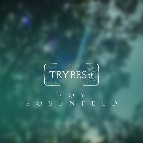 image cover: Roy Rosenfeld - The Biggest Heart / Halomot / TRY006