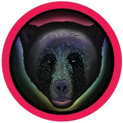 061251 346 59451 Raumakustik - Animal / Waves (+Jamie Jones Re-edit) / HOTC134
