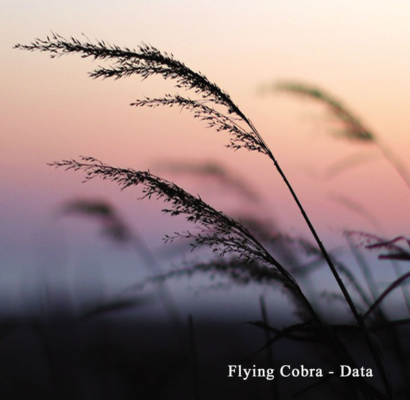 image cover: Flying Cobra - Data / SV-31