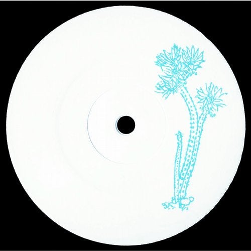image cover: DJ Different - Wilcoxia poselgeri / CCTS003