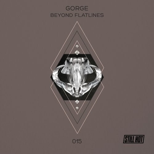 image cover: Gorge - Beyond Flatlines / STILLHOT015