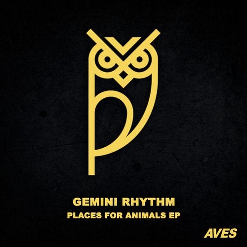 image cover: Gemini Rhythm - Places for Animals EP / 4056813110715