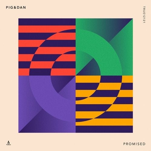 Download Pig&Dan - Promised on Electrobuzz