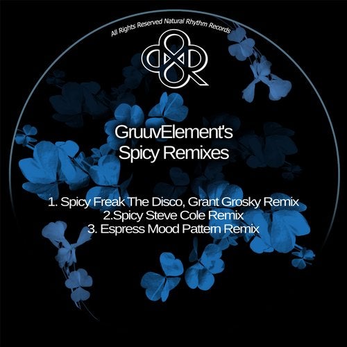 image cover: GruuvElement's - Spicy Remixes / NR342