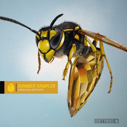 image cover: VA - Summer Sampler / DB203