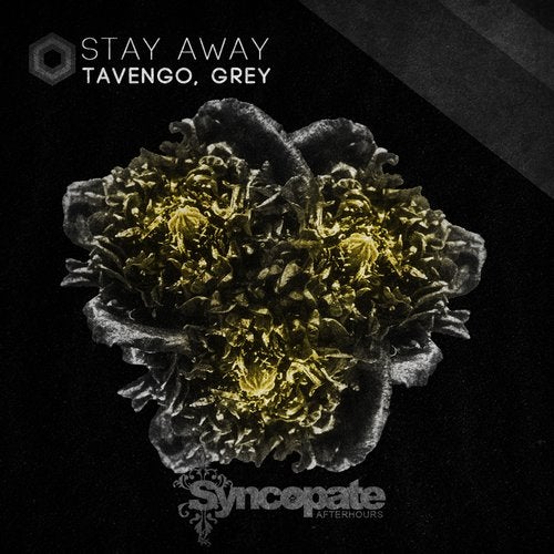 image cover: Grey, Tavengo - Stay Away / CAT301844