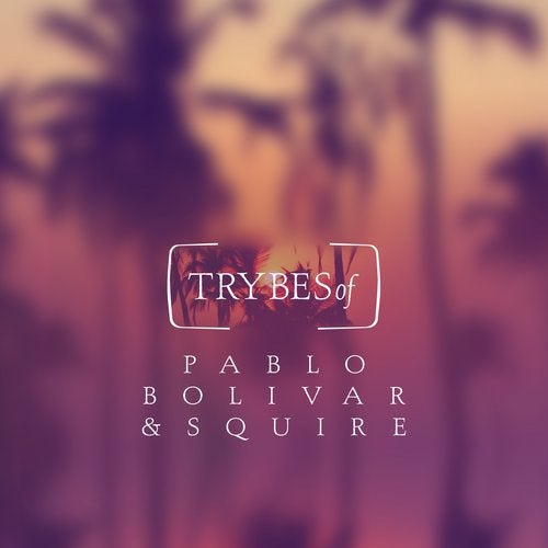 image cover: Pablo Bolivar - The Leftovers of Stars Collide / TRY007