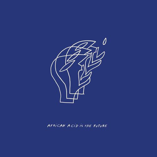 Download Les Filles de Illighadad - African Acid Is the Future - Ambiance II on Electrobuzz