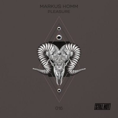 071251 346 17528771 Markus Homm - Pleasure (+Benny Grauer Remix) / Still Hot