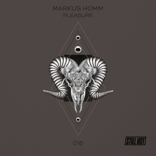 image cover: Markus Homm - Pleasure (+Benny Grauer Remix) / Still Hot