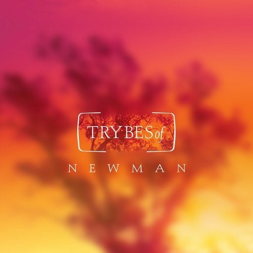 image cover: Newman (I Love) - The Spirit of Renaissance / TRY008