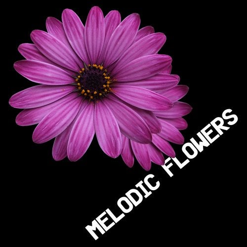 image cover: VA - Melodic Flowers / FP109