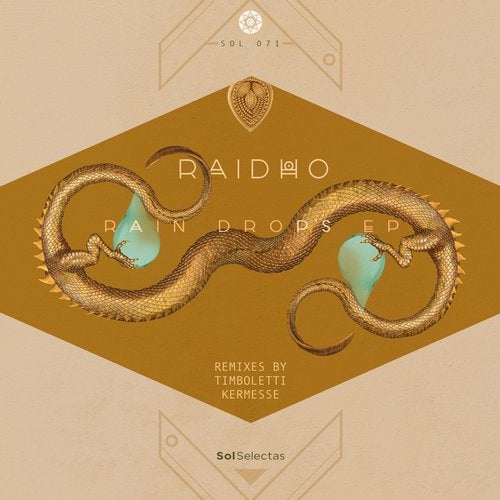 image cover: Raidho - Rain Drops / SOL071
