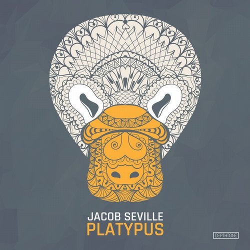 image cover: Jacob Seville - Platypus / DTN016