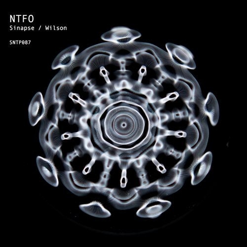 Download NTFO - Sinapse / Wilson on Electrobuzz