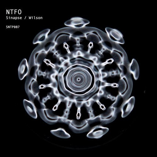 image cover: NTFO - Sinapse / Wilson / SNTP087