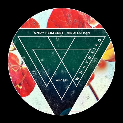 Download Andy Peimbert - Meditation on Electrobuzz