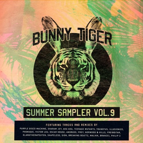 Download VA - Summer Sampler, Vol. 09 on Electrobuzz