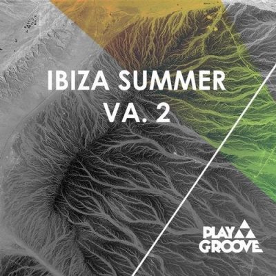 091251 346 091117600 VA - Ibiza Summer VA. 2 / PGR174