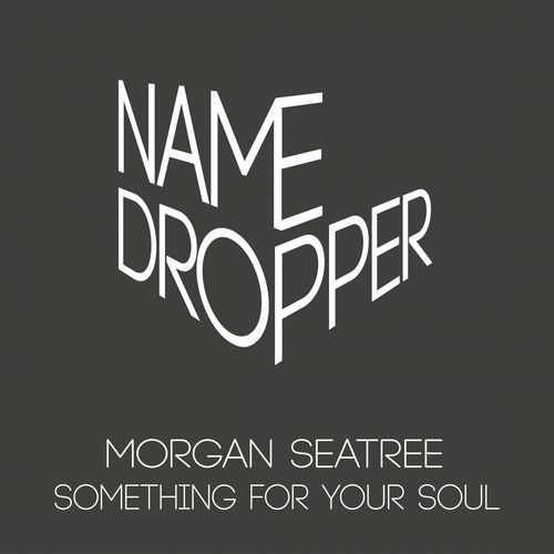 image cover: Morgan Seatree - Something for Your Soul / Name Dropper