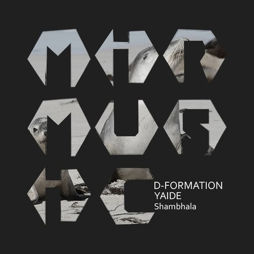 image cover: D-Formation, YAIDE - Shambhala / MIRM013