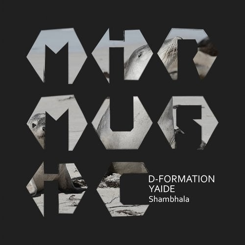 Download D-Formation, YAIDE - Shambhala on Electrobuzz