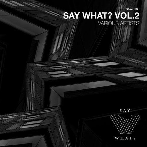 image cover: VA - Say What?, Vol. 2 / SAWH083