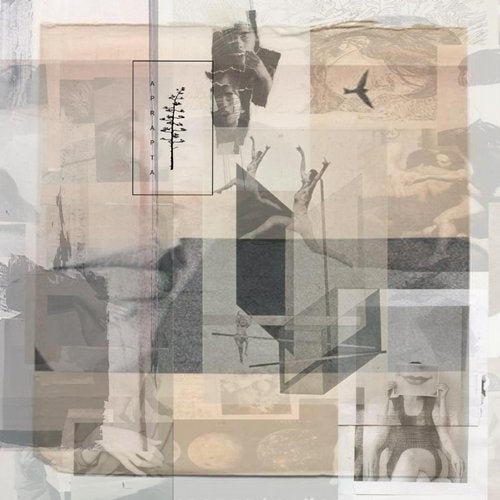 image cover: Basti Grub - Just Dance EP / APRAPTAMUSIC019