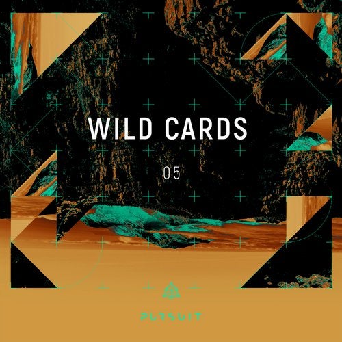 image cover: VA - Wild Cards 05 / PRST021