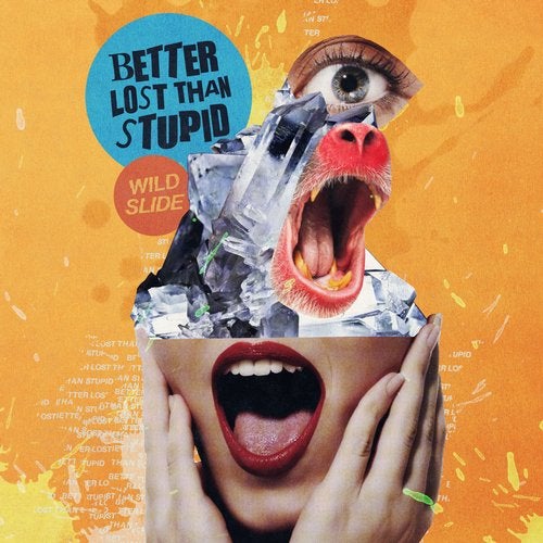 image cover: Better Lost Than Stupid - Wild Slide / 4050538532548