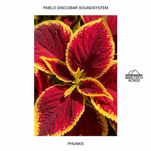 image cover: Pablo Discobar Soundsystem - Phunks / BMKLTSCH117