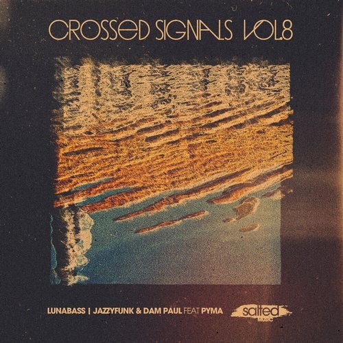 Download VA - Crossed Signals, Vol. 8 on Electrobuzz