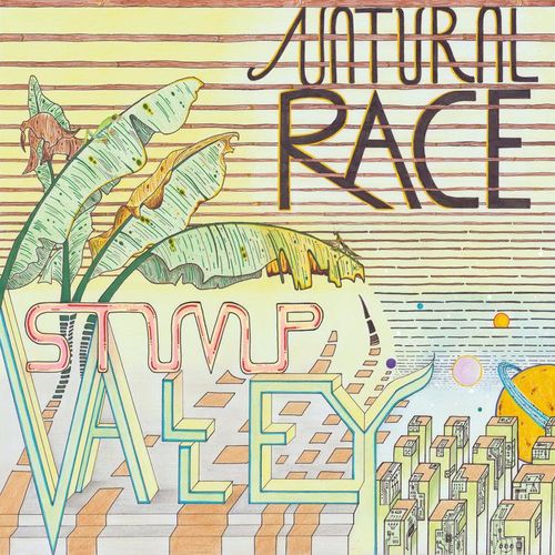 image cover: Stump Valley - Natural Race / Dekmantel