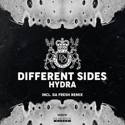 Download Different Sides - Hydra on Electrobuzz