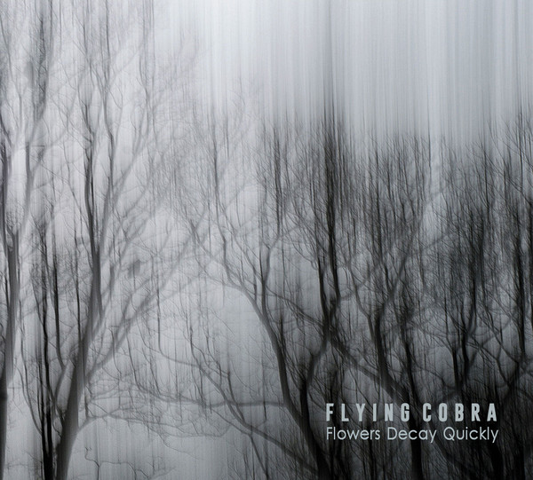 Download Flying Cobra - Flowers Decay Quickly on Electrobuzz
