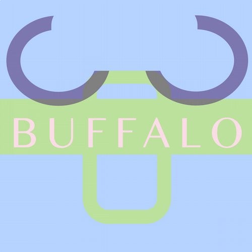 image cover: Dapayk Solo - Buffalo / SOBER005